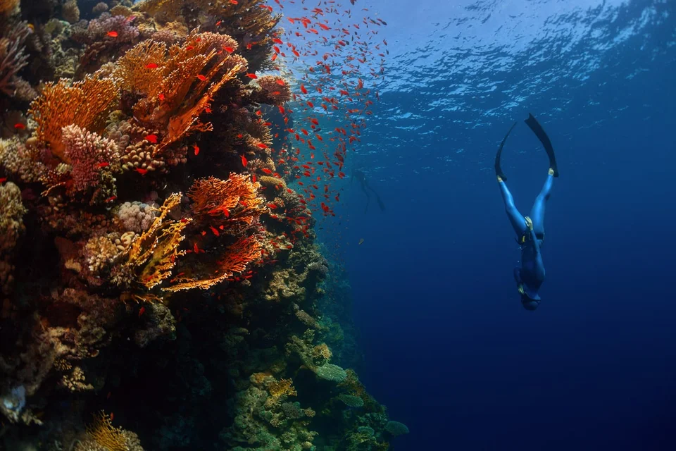 Deeper Dive into Performant Queries